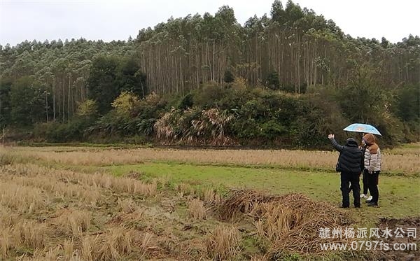 上海陈老师带着爱徒寻龙点穴